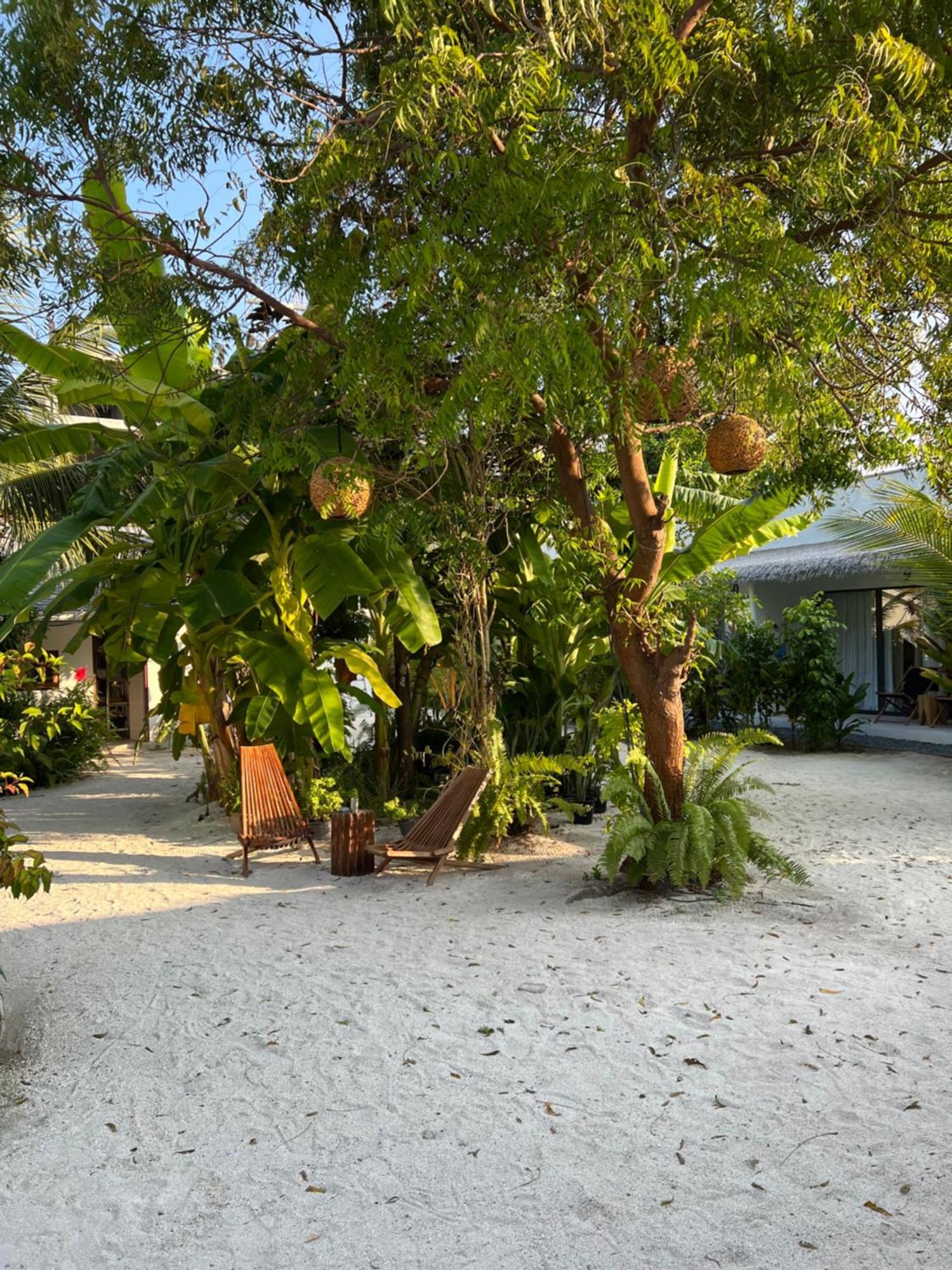 Coco Villa Thoddoo Exterior photo